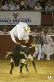 course landaise