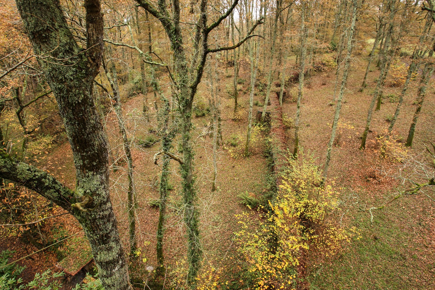 2008-11-19-7622.jpg