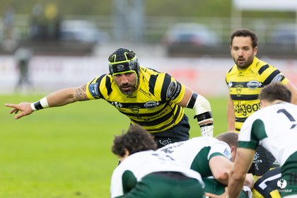 Stade Montois Rugby - Montauban