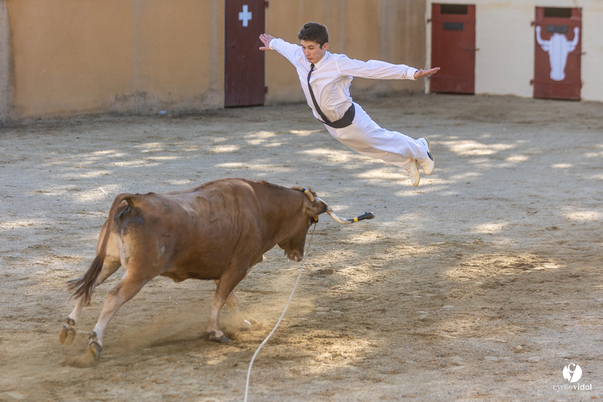 Course landaise