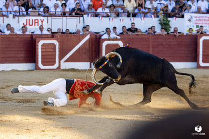 Aire-sur-l'Adour Championnat de France de course landaise 2023