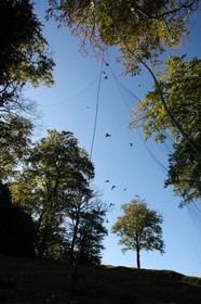 2008-10-24-0920.jpg