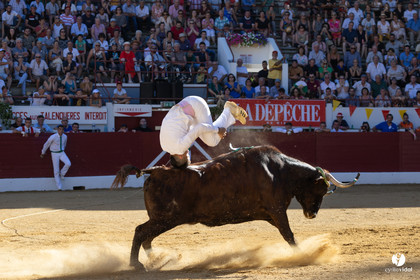 Aire-sur-l'Adour Championnat de France de course landaise 2023