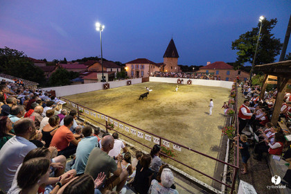 2025-07-11-2319.jpg