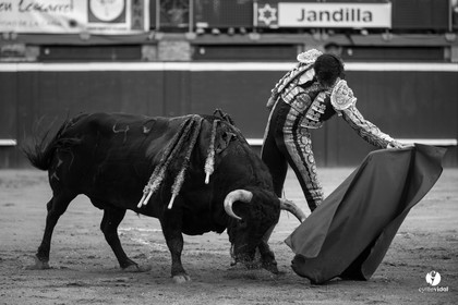Mont-de-Marsan corrida de Jandilla pour Padilla - Talavante - Roca Rey