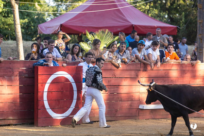 Course landaise à Panjas