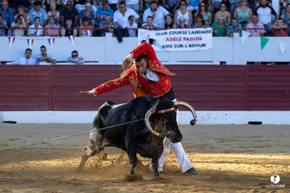Aire-sur-l'Adour Championnat de France de course landaise 2023