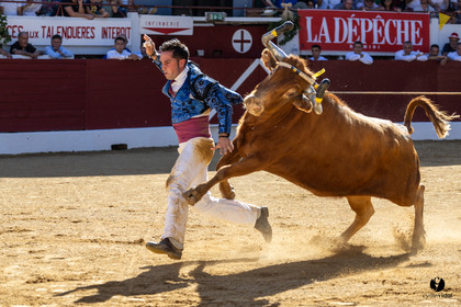 Aire-sur-l'Adour Championnat de France de course landaise 2023