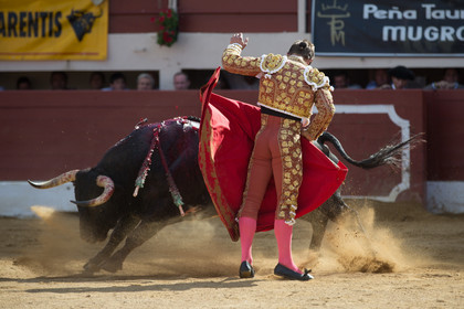 corrida, toro, vic fezensac, alcurrucen, michelito, morenito de aranda