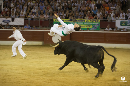 course landaise