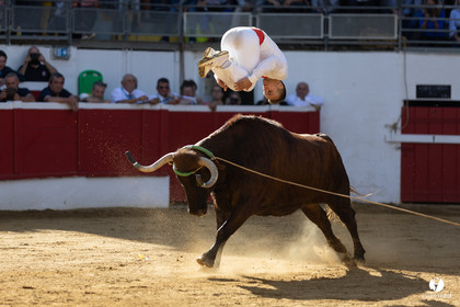 Nogaro Championnat de France de course landaise 2022