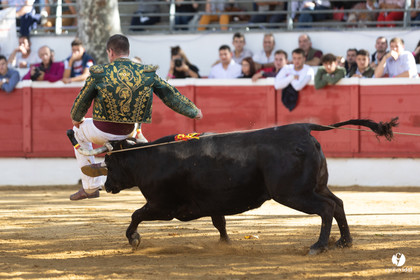 Nogaro Championnat de France de course landaise 2022