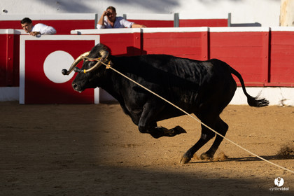Nogaro Corne d'Or 2023