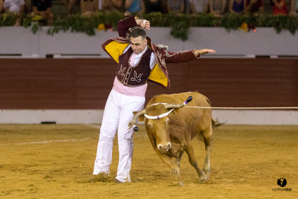 Aire sur l'Adour course landaise génération Aturine
