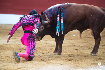 Mont-de-Marsan corrida de Jandilla pour Padilla - Talavante - Roca Rey