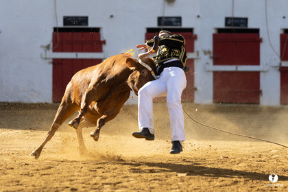 Nogaro Championnat de France de course landaise 2022