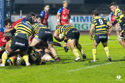 Stade Montois Rugby - Grenoble