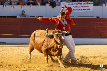 Aire-sur-l'Adour Championnat de France de course landaise 2023