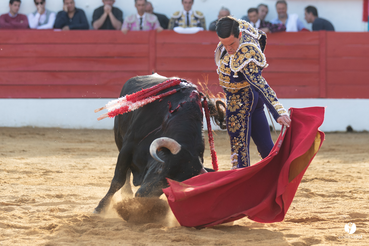 Corrida Aignan