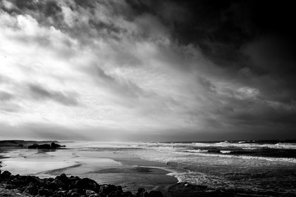 Paysages des Landes