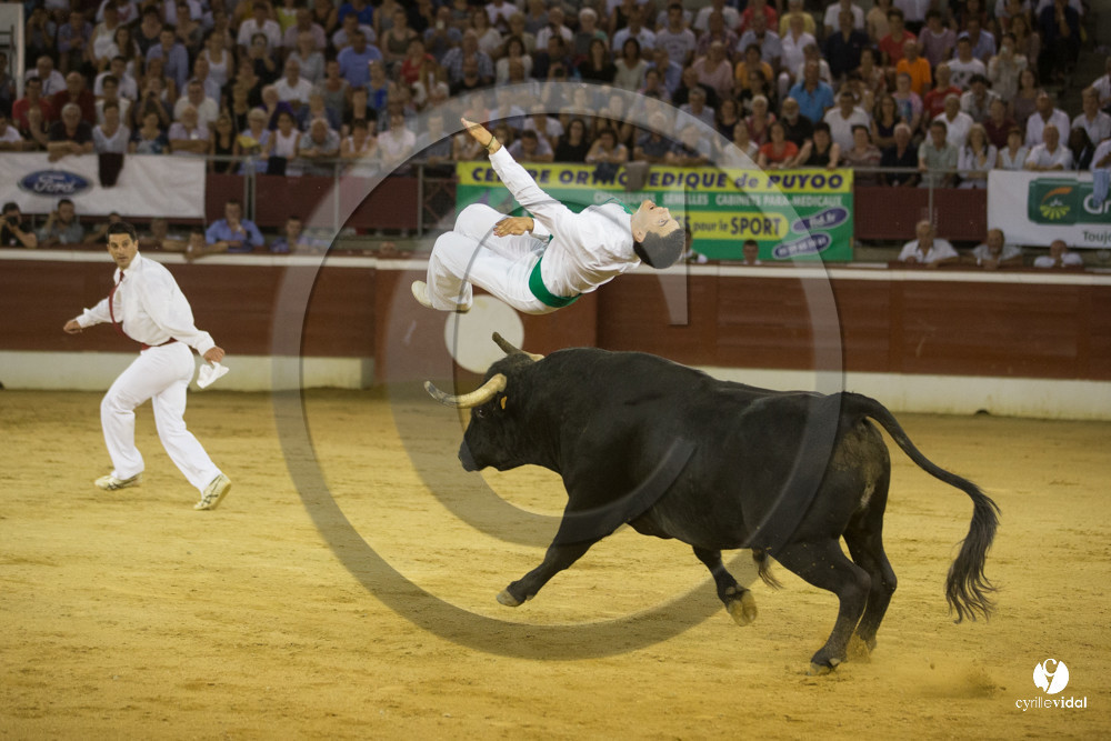 course landaise