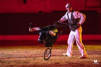 Landes émotions à Aire-sur-l'Adour