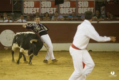 course landaise