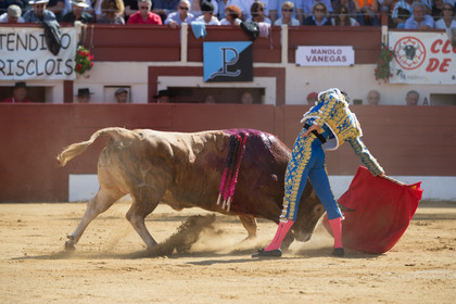 corrida, toro, vic fezensac, alcurrucen, michelito, morenito de aranda