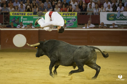 course landaise