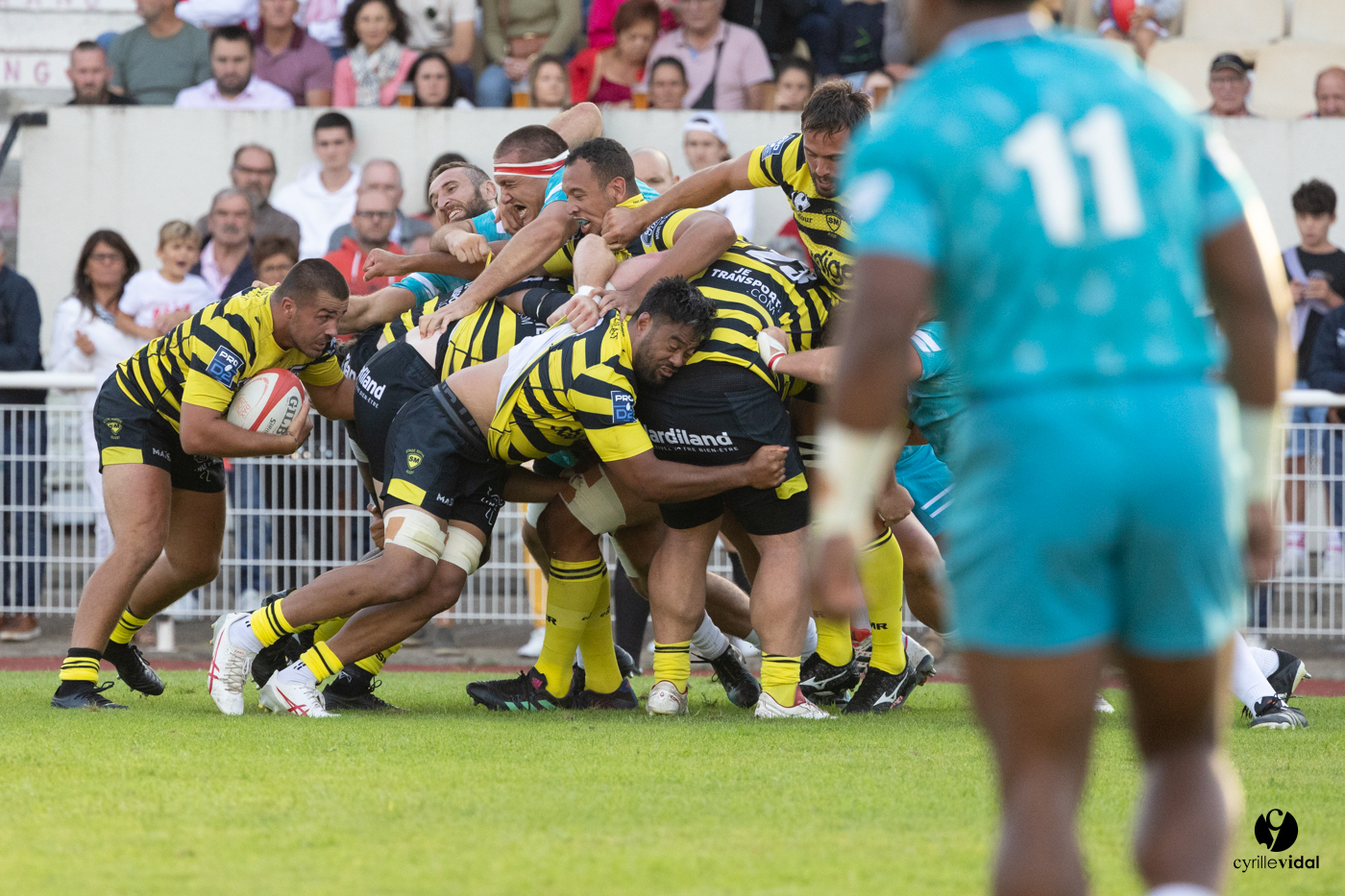 Dax - Stade Montois Rugby