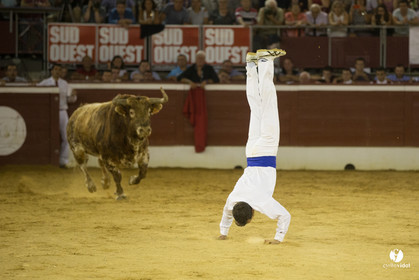 course landaise