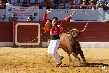 Aire-sur-l'Adour Championnat de France de course landaise 2023