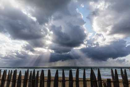 Paysages des Landes