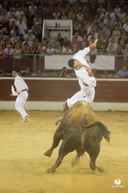 course landaise