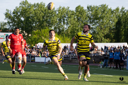 2025-04-25-2266.jpg