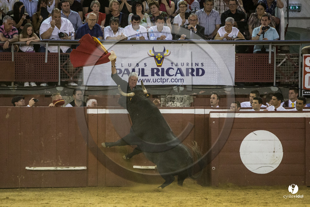 course landaise