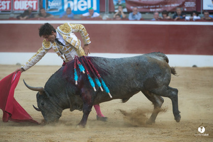 Mont-de-Marsan corrida d'Adolfo Martin