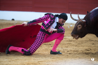 Mont-de-Marsan corrida de Jandilla pour Padilla - Talavante - Roca Rey
