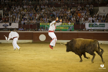 course landaise