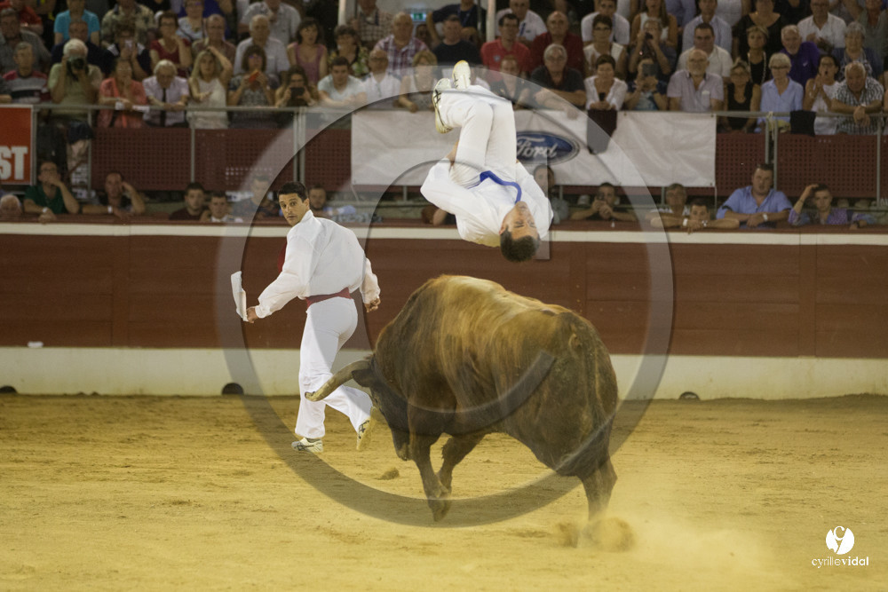 course landaise