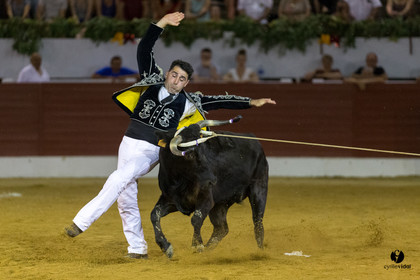 Aire sur l'Adour course landaise génération Aturine