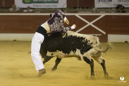 course landaise