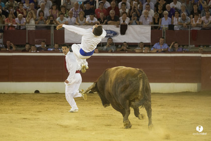 course landaise
