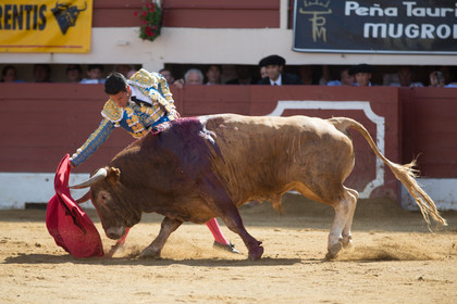 corrida, toro, vic fezensac, alcurrucen, michelito, morenito de aranda