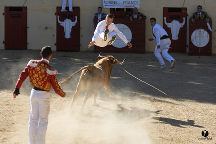 Course landaise