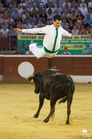 course landaise