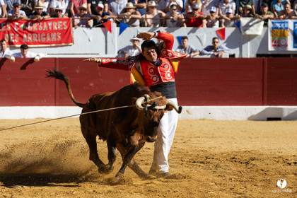Aire-sur-l'Adour Championnat de France de course landaise 2023