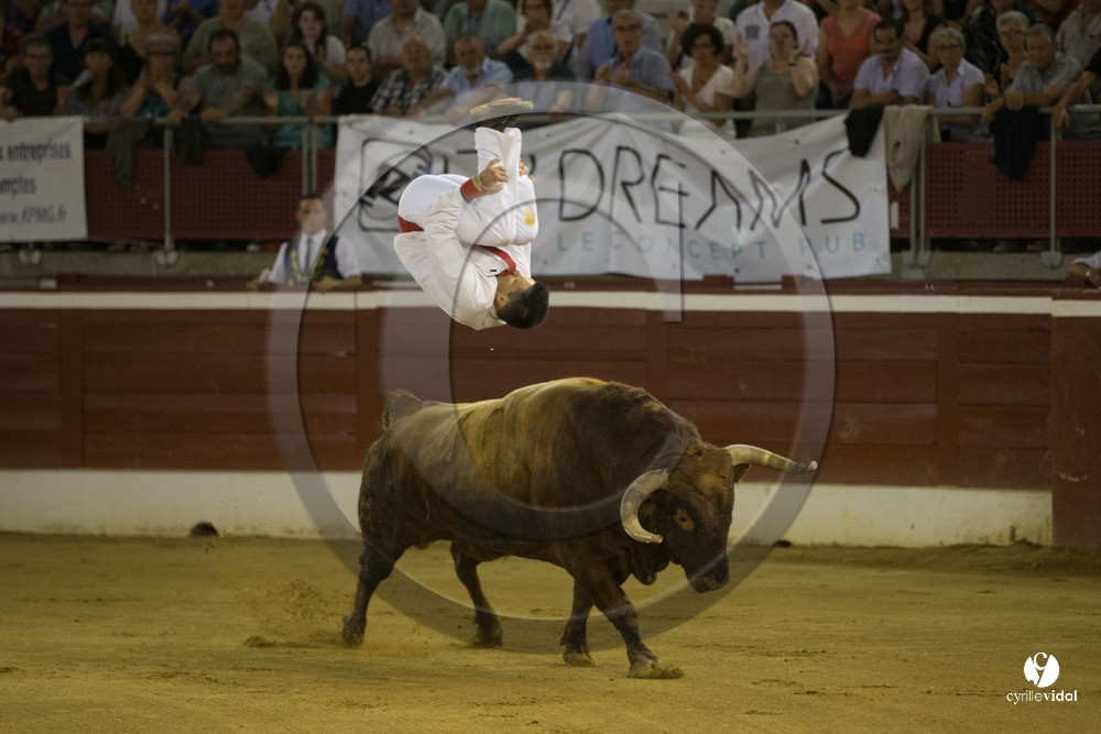 course landaise
