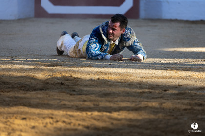 Aire-sur-l'Adour Championnat de France de course landaise 2023