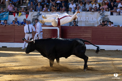 Aire-sur-l'Adour Championnat de France de course landaise 2023